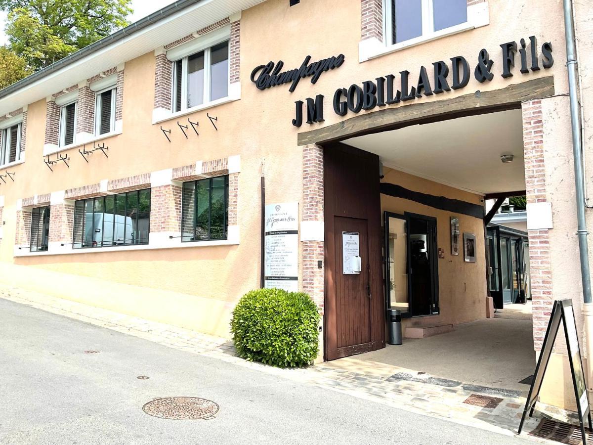 Les Loges Du Theatre Degustation Champagne Offerte Jacuzzi Sauna Jeux Velos Maison Prive 150M2 Historique 14Pers Max Emplacement Exceptionnel Et Chic, 200M De L'Avenue De Champagne, Gare, Musee, Jardins, Restaurations, Toutes Commodites Epernay Ngoại thất bức ảnh