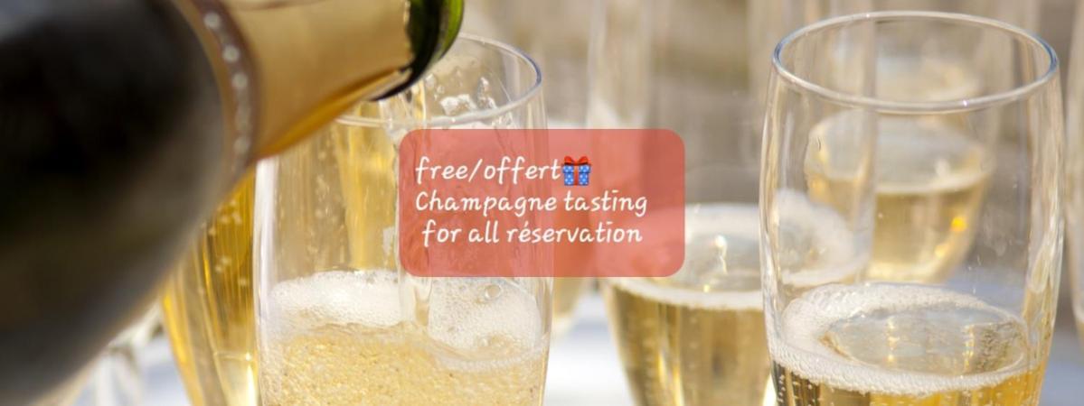 Les Loges Du Theatre Degustation Champagne Offerte Jacuzzi Sauna Jeux Velos Maison Prive 150M2 Historique 14Pers Max Emplacement Exceptionnel Et Chic, 200M De L'Avenue De Champagne, Gare, Musee, Jardins, Restaurations, Toutes Commodites Epernay Ngoại thất bức ảnh