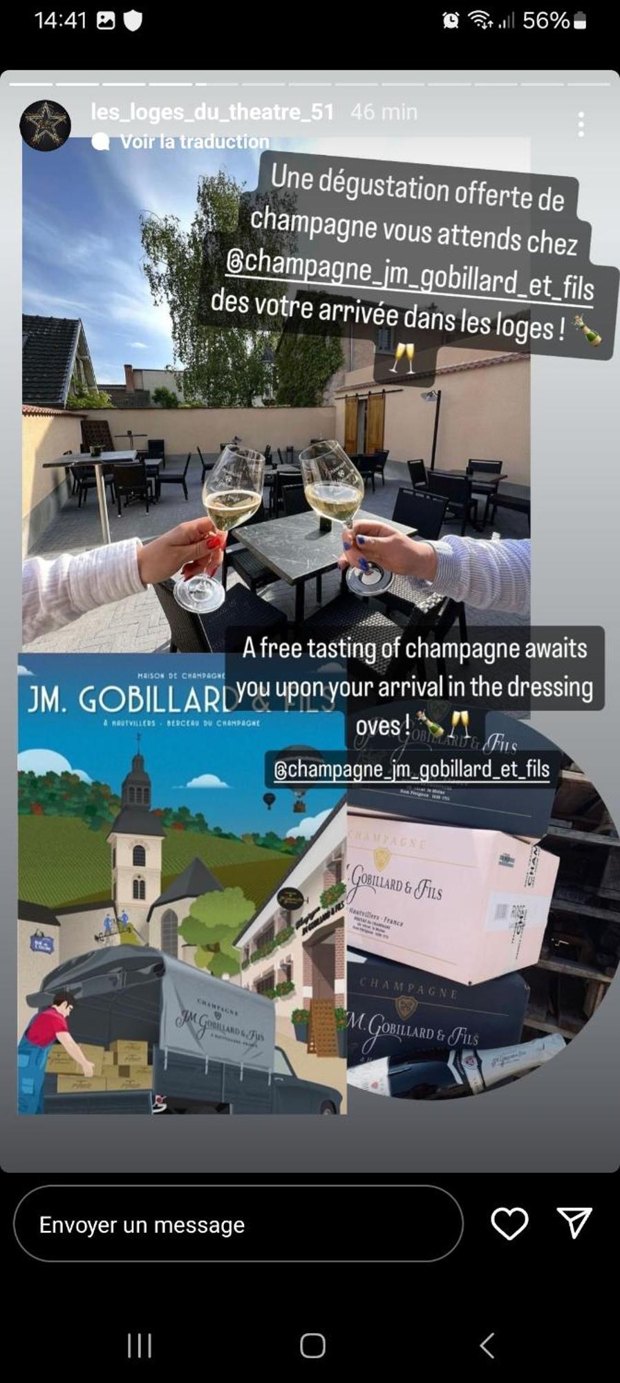 Les Loges Du Theatre Degustation Champagne Offerte Jacuzzi Sauna Jeux Velos Maison Prive 150M2 Historique 14Pers Max Emplacement Exceptionnel Et Chic, 200M De L'Avenue De Champagne, Gare, Musee, Jardins, Restaurations, Toutes Commodites Epernay Ngoại thất bức ảnh