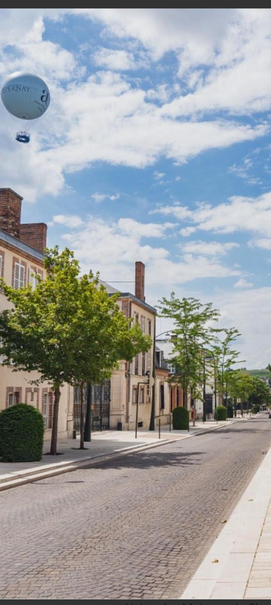 Les Loges Du Theatre Degustation Champagne Offerte Jacuzzi Sauna Jeux Velos Maison Prive 150M2 Historique 14Pers Max Emplacement Exceptionnel Et Chic, 200M De L'Avenue De Champagne, Gare, Musee, Jardins, Restaurations, Toutes Commodites Epernay Ngoại thất bức ảnh